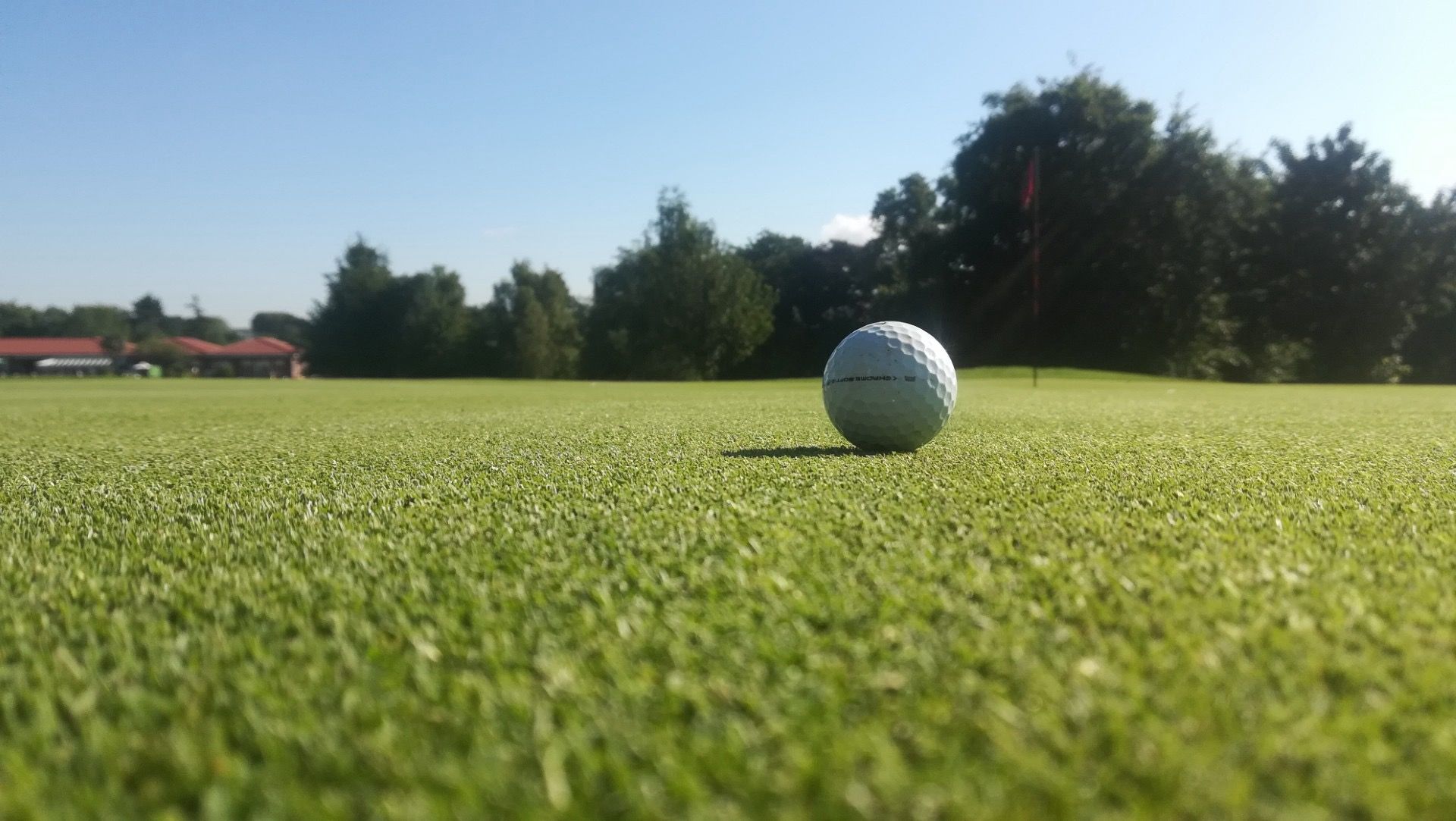 A golf ball on the green at The Oaks, Surrey